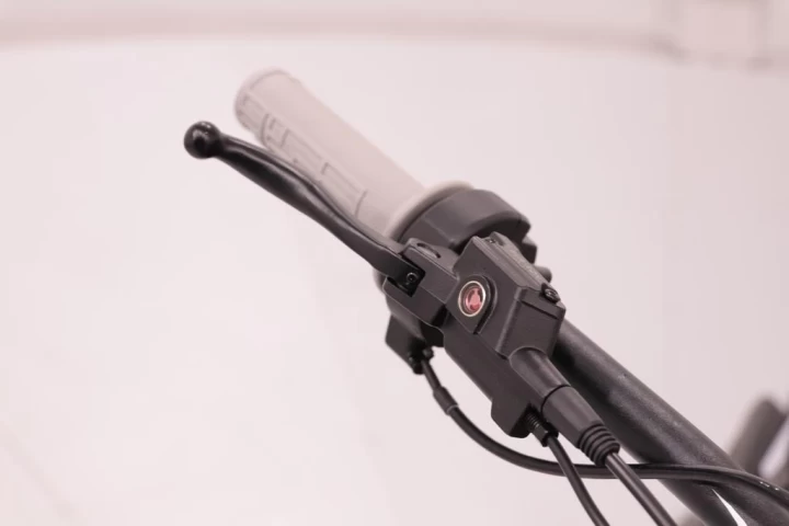 2021 Sur-Ron Light Bee X 