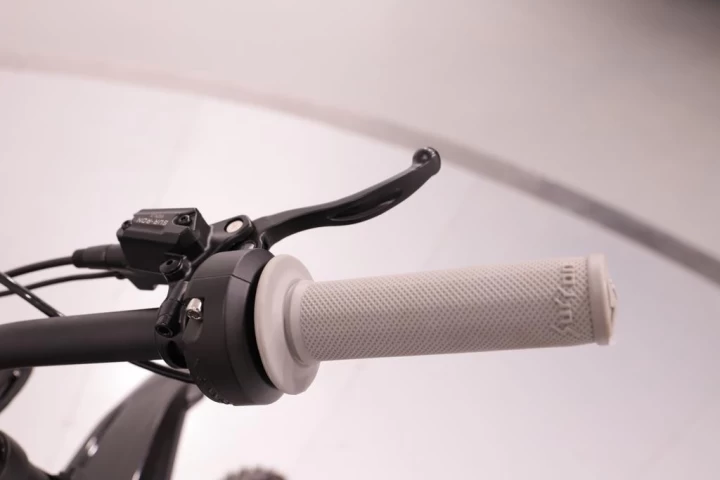 2021 Sur-Ron Light Bee X 